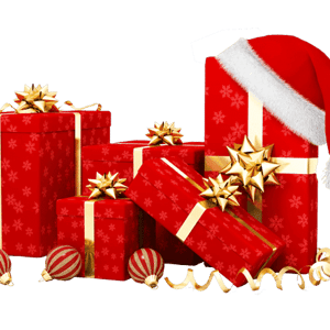 Essential Software Bundle